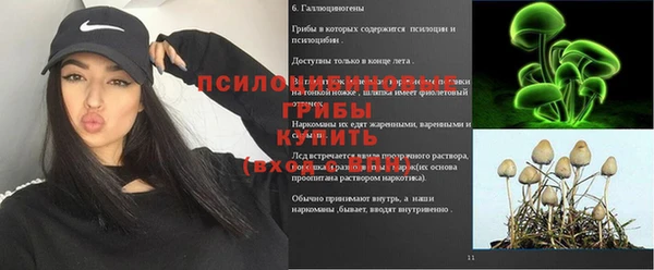 герыч Алзамай