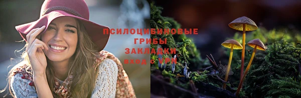 прущие грибы Армянск