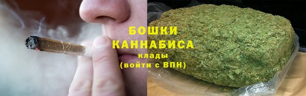прущие грибы Армянск