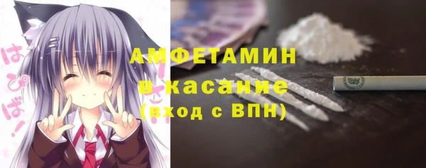 прущие грибы Армянск