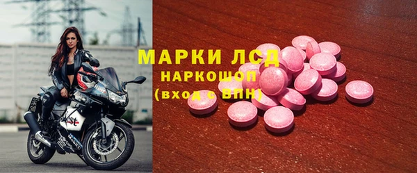 прущие грибы Армянск