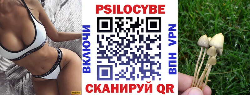 наркошоп  darknet состав  ОМГ ОМГ ССЫЛКА  Псилоцибиновые грибы Psilocybine cubensis  Астрахань 